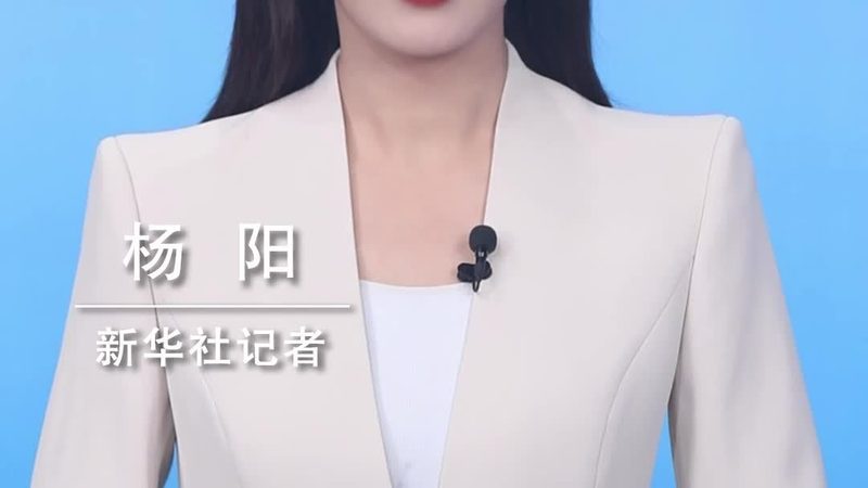 企业数据治理平台：功能解析与优缺点探讨